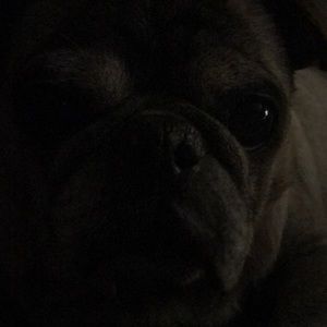 Meet your Posher, Jeffrey